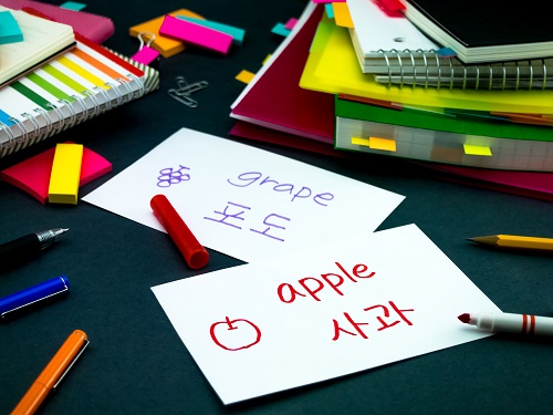 51494426_l韓文20241220.jpg